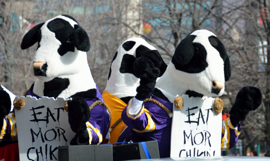 Famous ' Eat Mor Chikin ' cows at parade leading up to the Chick-fil-A bowl game. 