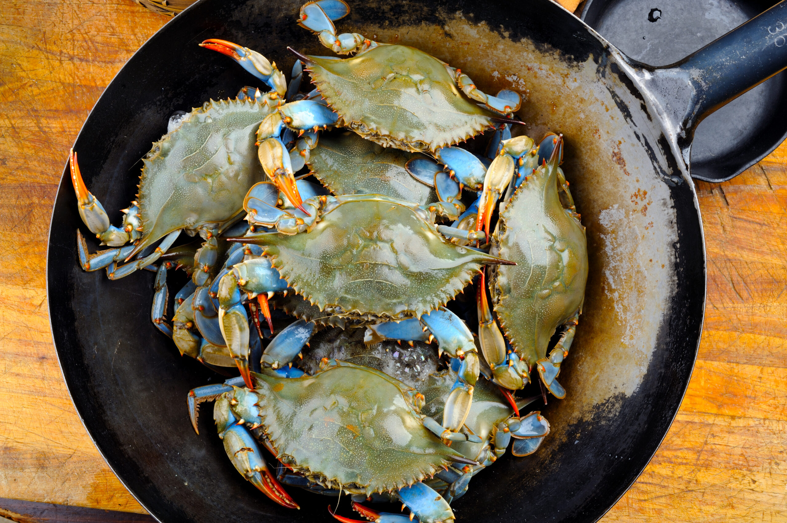 Blue Crab in Chinese Wok.