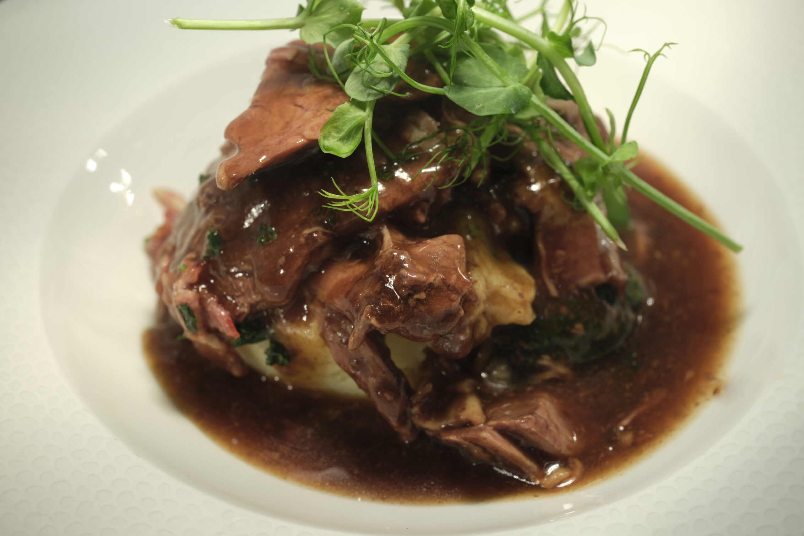 Bowl of Beef Bourguignon.