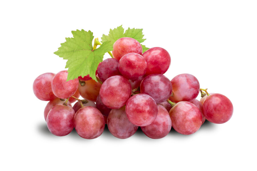 Fresh red grapes isolated on white background. All in focus.