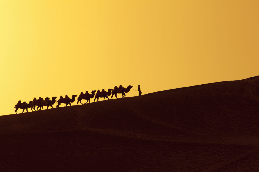 silk road in china; shadow of people traveling on camels through the desert