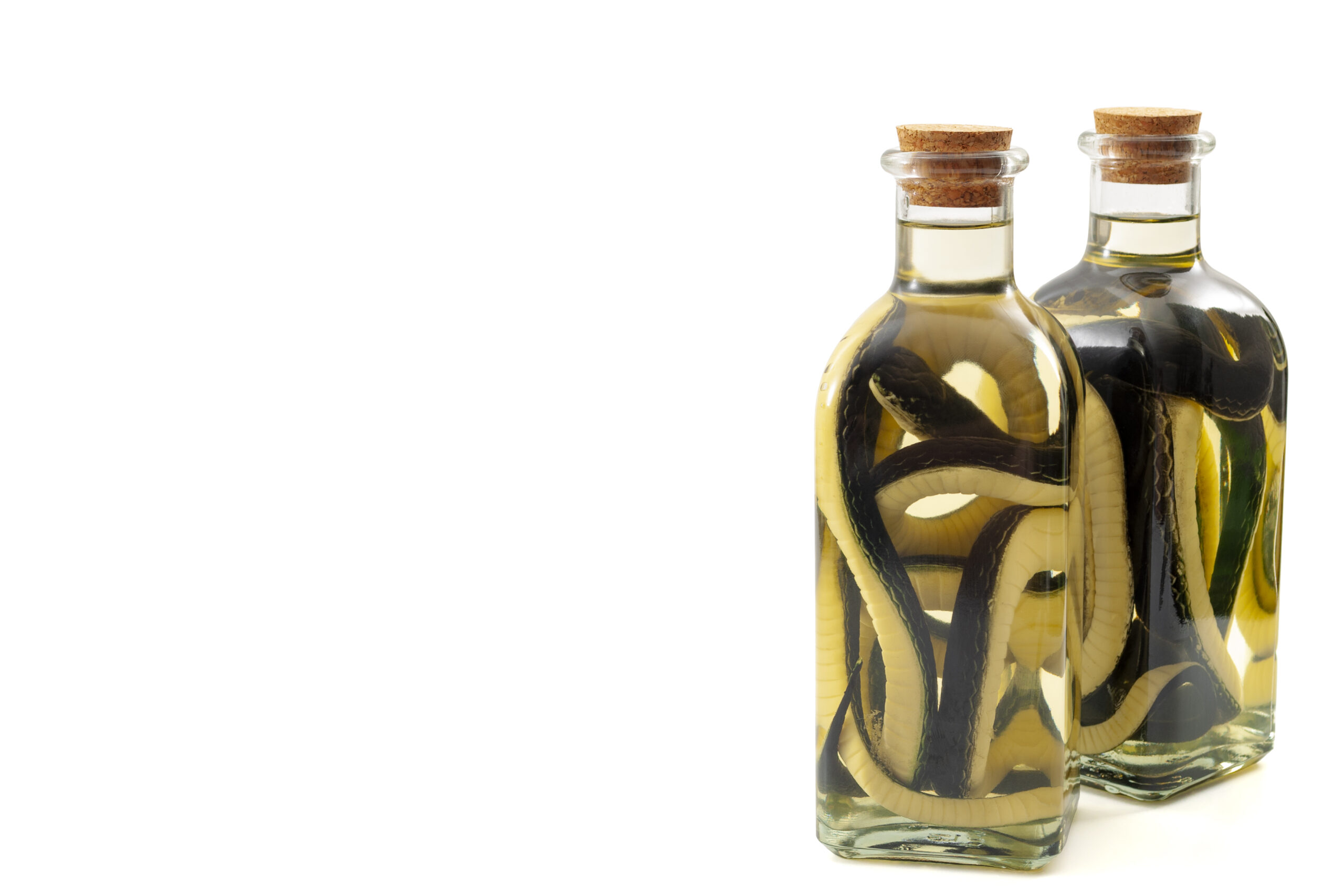 Snakeoil salesman, cure all scam and quack medicine concept theme with bottles of oil and a snake in it isolated on white background with a clipping path cut out and copy space