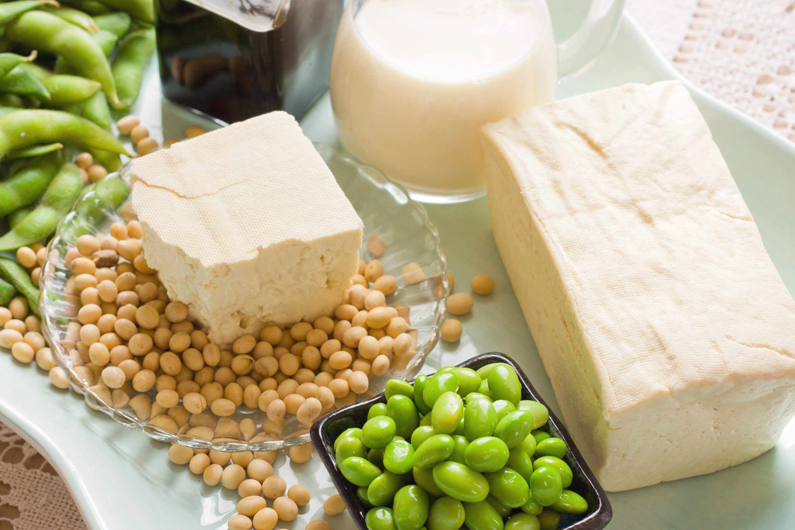 Soy Products. Soy Bean Food and Drink Products Photograph with Several Elements including loose bean,tofu, and soy milk. Full block of tofu. Half block of tofu sitting on plate of loose soy beans. Green beans in black square bowl. Glass filled with soy milk.