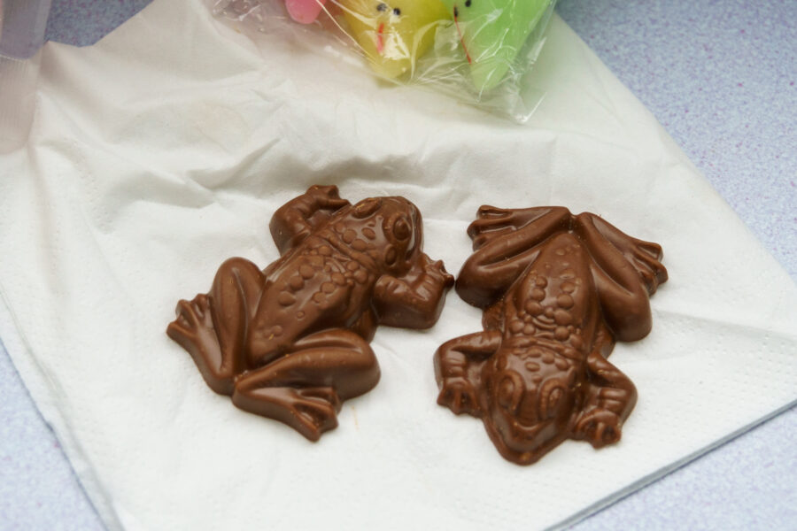 Two chocolate frogs on a napkin, very much in the style of the Hogwarts express