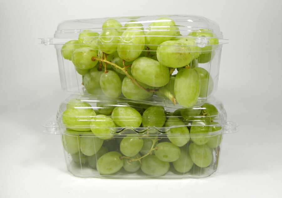 A box of American seedless green grapes packed in a transparent plastic box, on a white background