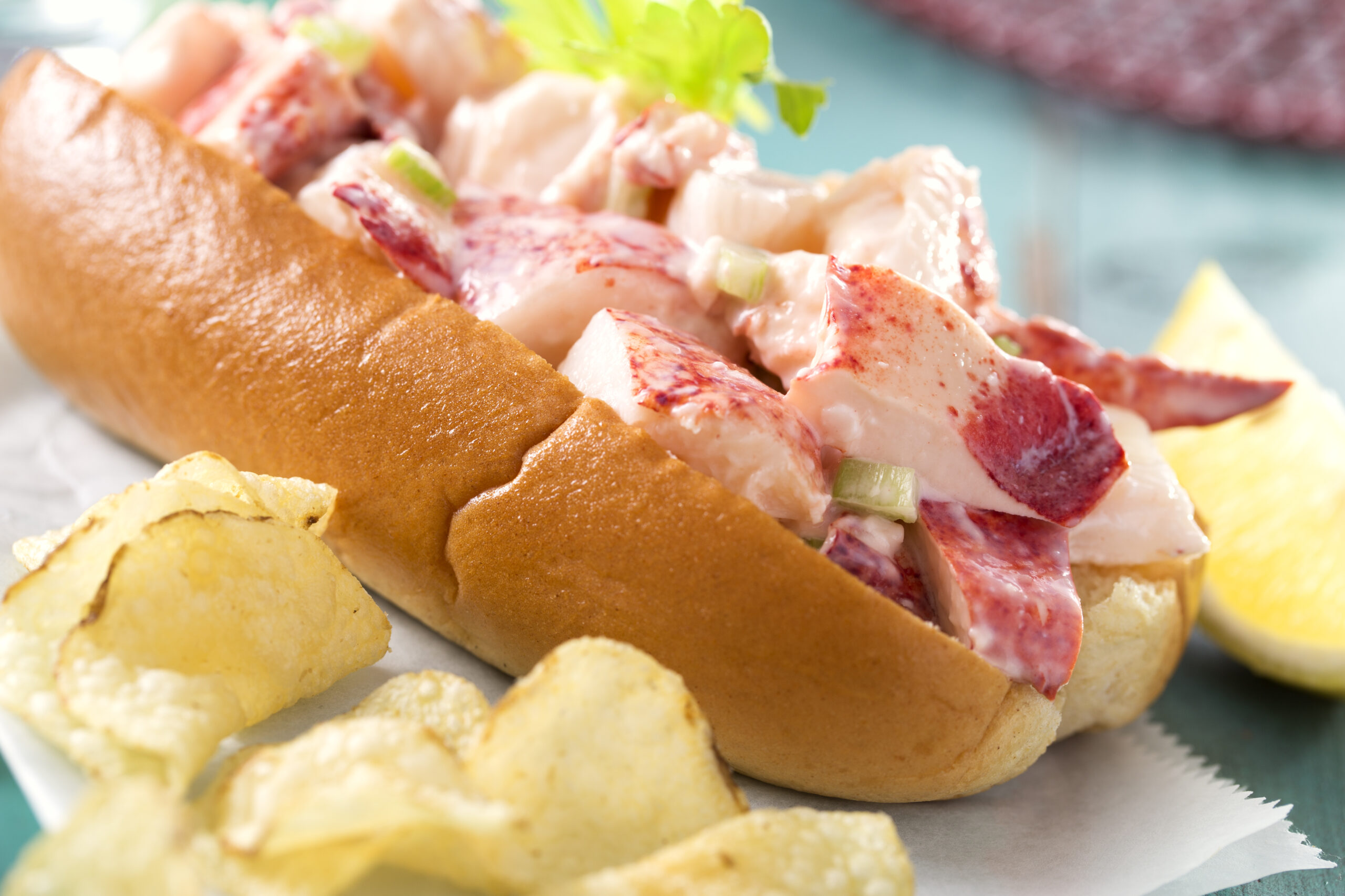 A fresh made Maine / New England lobster roll with mayonnaise, celery, butter, and lemon with a side of chips.