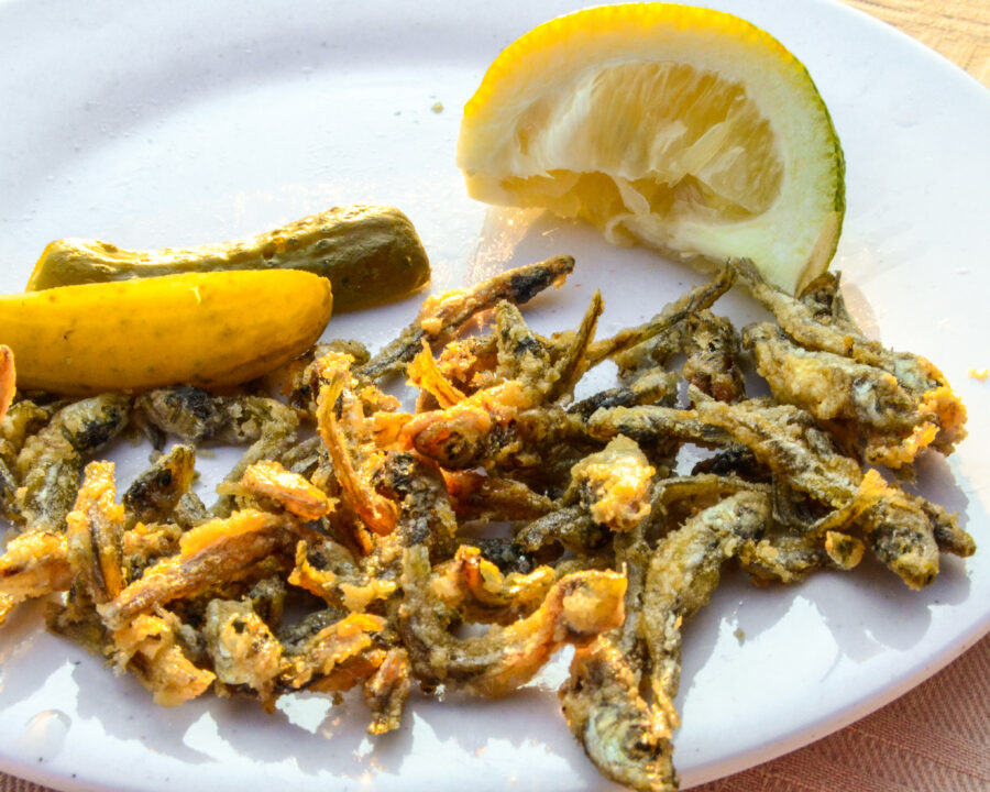 Battered small kapenta fish on a plate, a common dish in some parts of Africa including Zimbabwe, Zambia and Mozambique