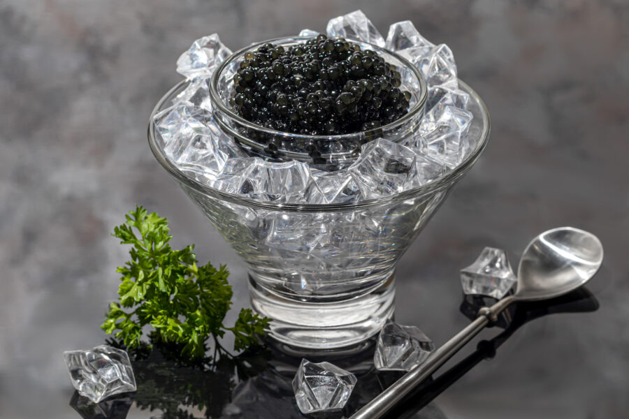 Black caviar in a dish on a light background. 