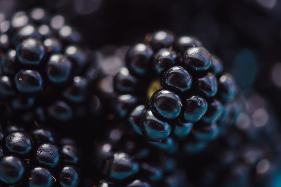 Close-up of blackberries