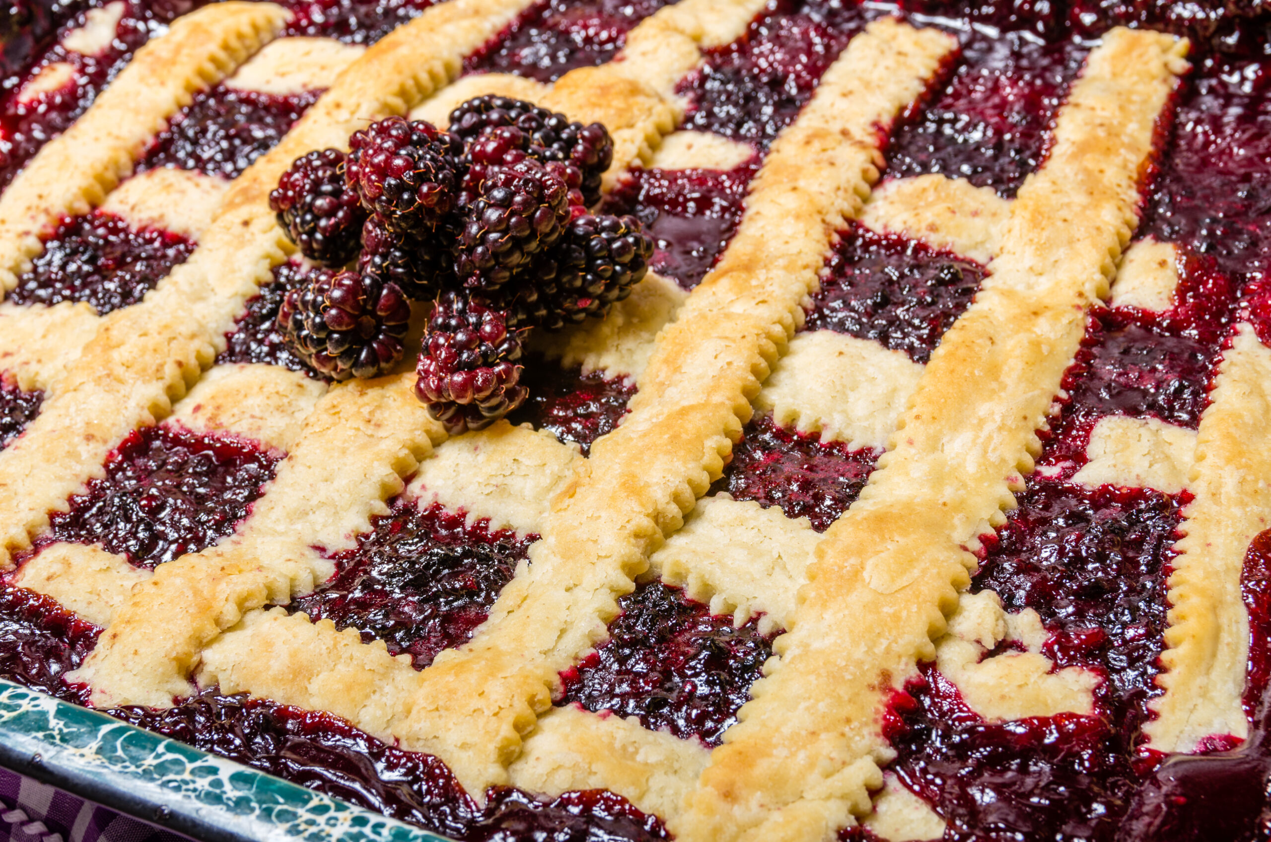 Fresh homemade marionberry cobbler in pan