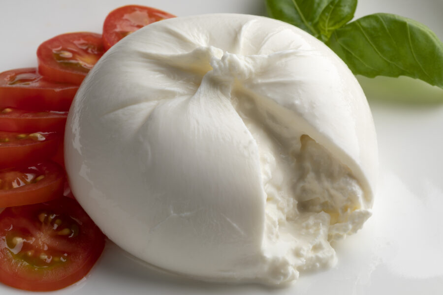 Fresh piece burrata cheese close up on white background with tomato slices and basil leaves