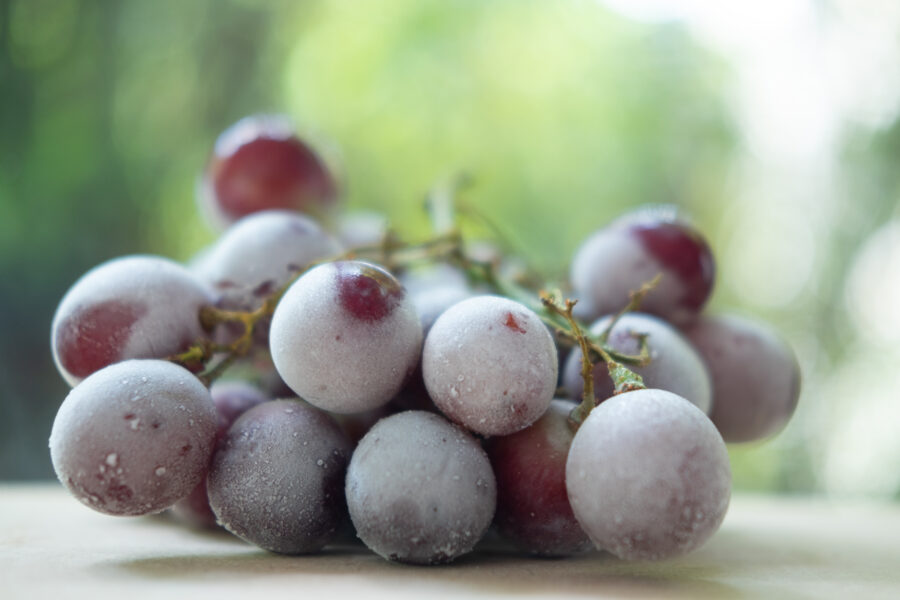 Frozen grape on wood table. Selective focus