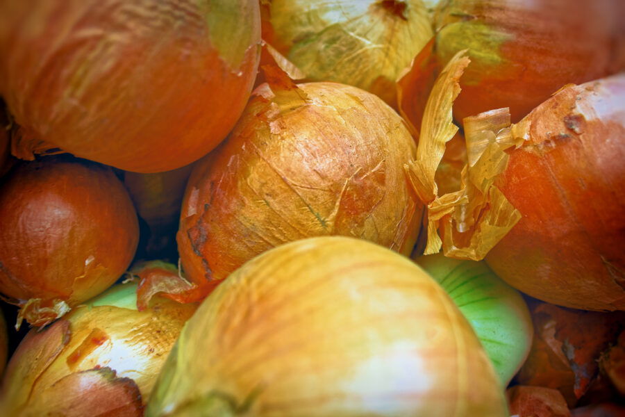 Closeup of many organic bulb onions on the shelf display for sale in the local grocery store for background.