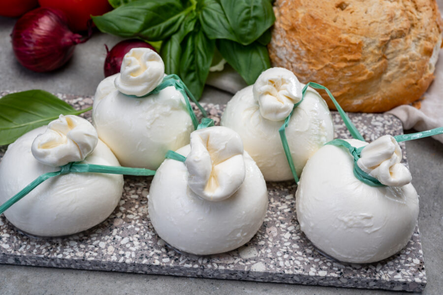 Cheese collection, fresh soft handmade Italian cheese from Puglia, white balls of burrata or burratina cheese made from mozzarella and cream filling close up