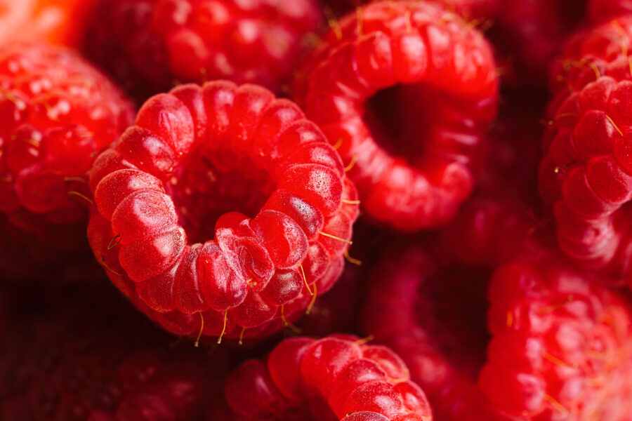 Raspberries close up 