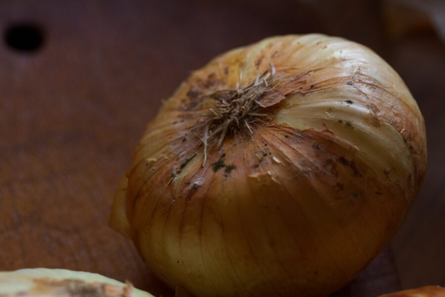 Onions in a state of decomposition.