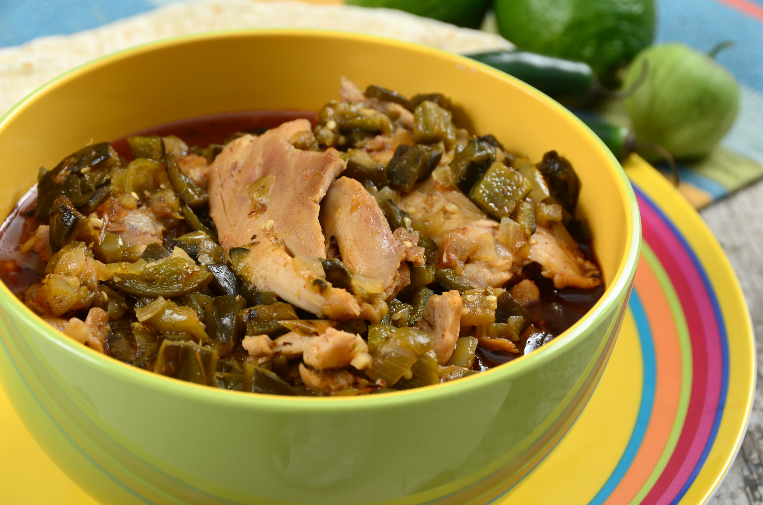 A bowl of New Mexican green chile chicken stew served with flour tortillas.