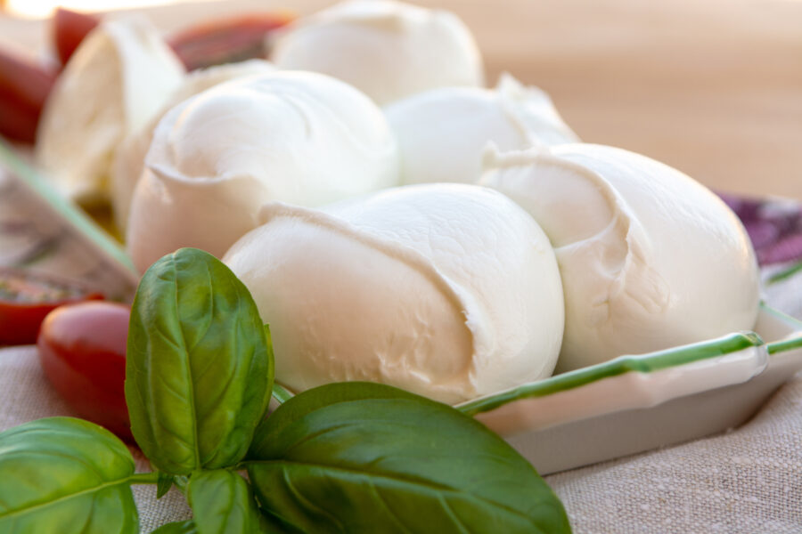 Fresh soft Italian white cheese mozzarella buffalo, original from Campania, Paestrum and Foggia regions, South Italy, served with tomatoes and fresh basil