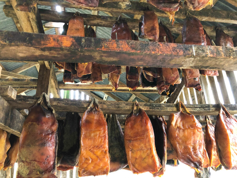 Shark Meat Hanging/Curing in Shed