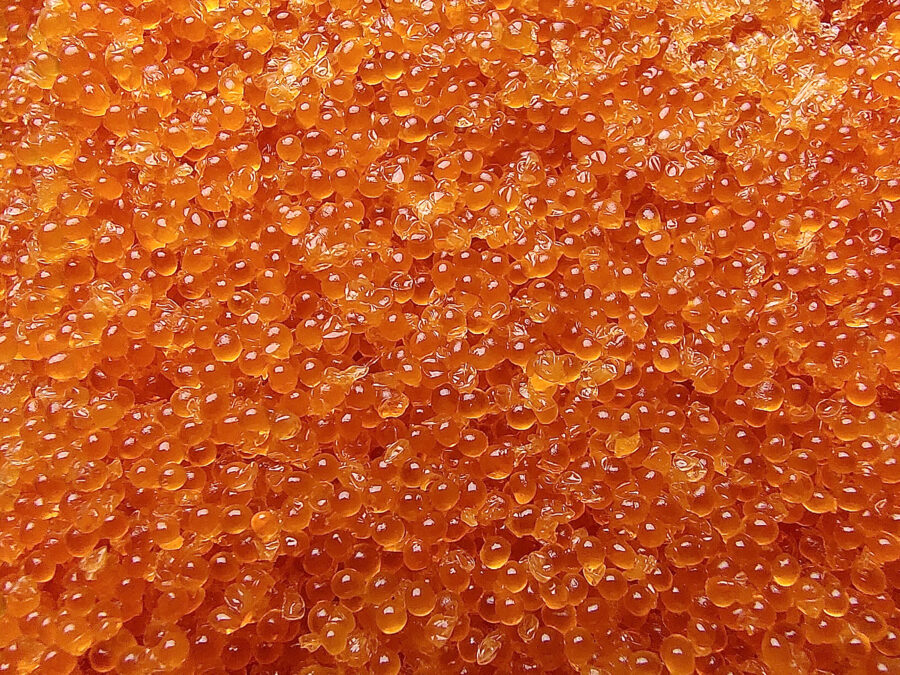 Japanese Cuisine, Close Up of Orange Ebiko Sushi, Tobiko Sushi or Flying Fish Caviar Background.