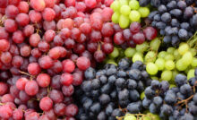 Organic bunch of colorful grapes
