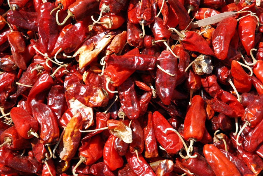 Red peppers, the basic ingredient of berbere, one of the main spices of ethiopian cuisine