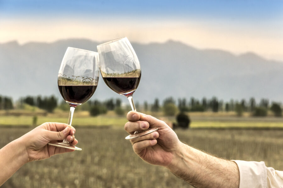 Couple toasting with wine in front of the vineyards