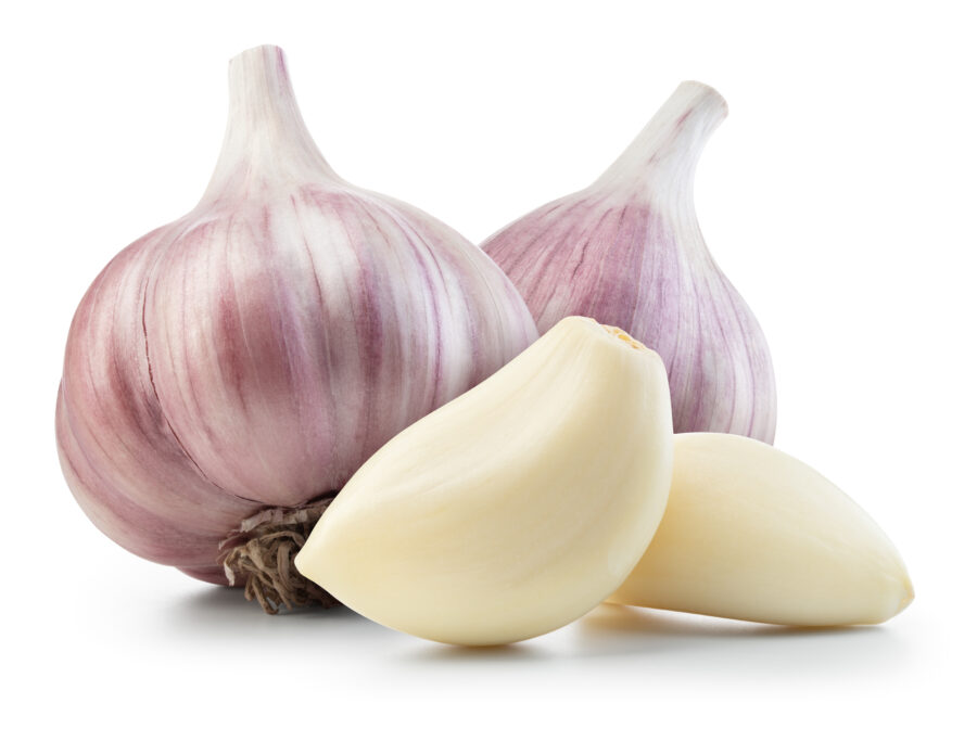 Garlic bulb and clove isolated. Garlic bulbs with cloves on white background. 