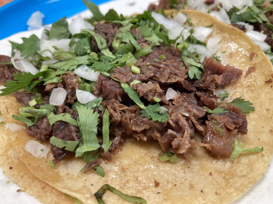 Suader tacos in a blue plate with cilantro and onion