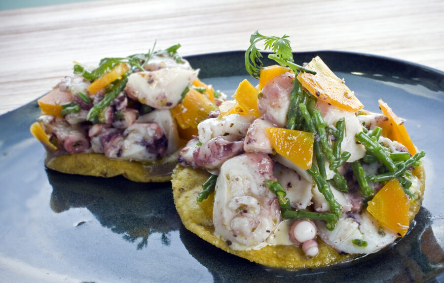 Two octopus tacos on a blue dish