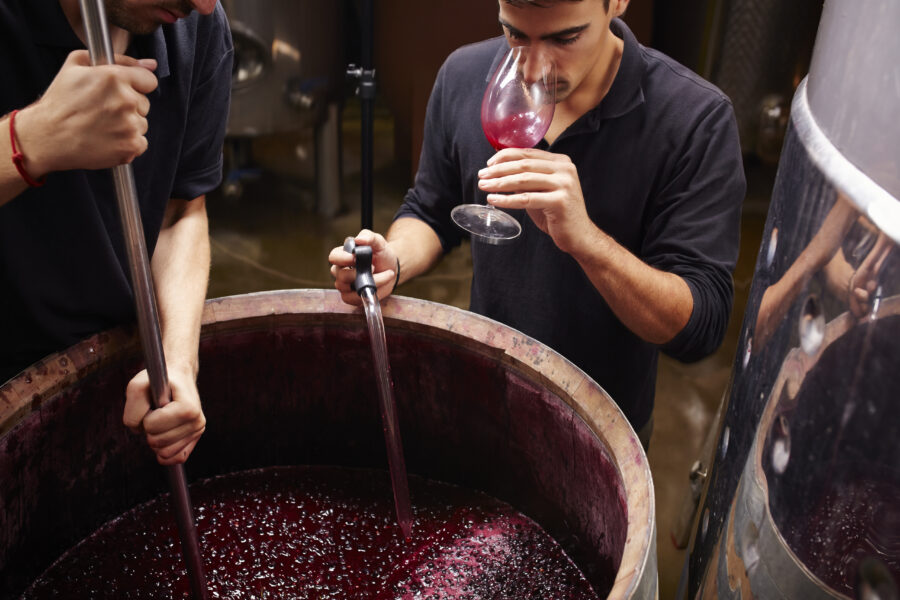 Oenologist checking the wine properties before closing barrels