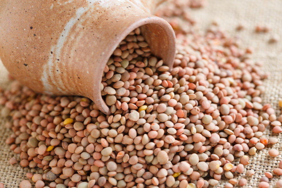 Castelluccio lentils from Umbria, Italy