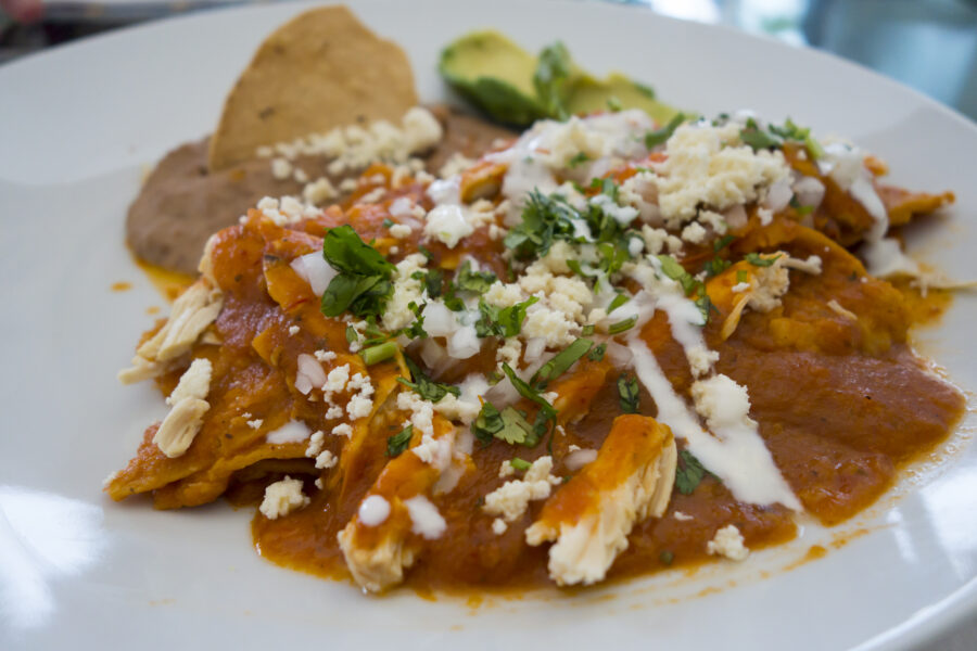 Chilaquiles with spicy red salsa, cilantro, avocado, and cheese