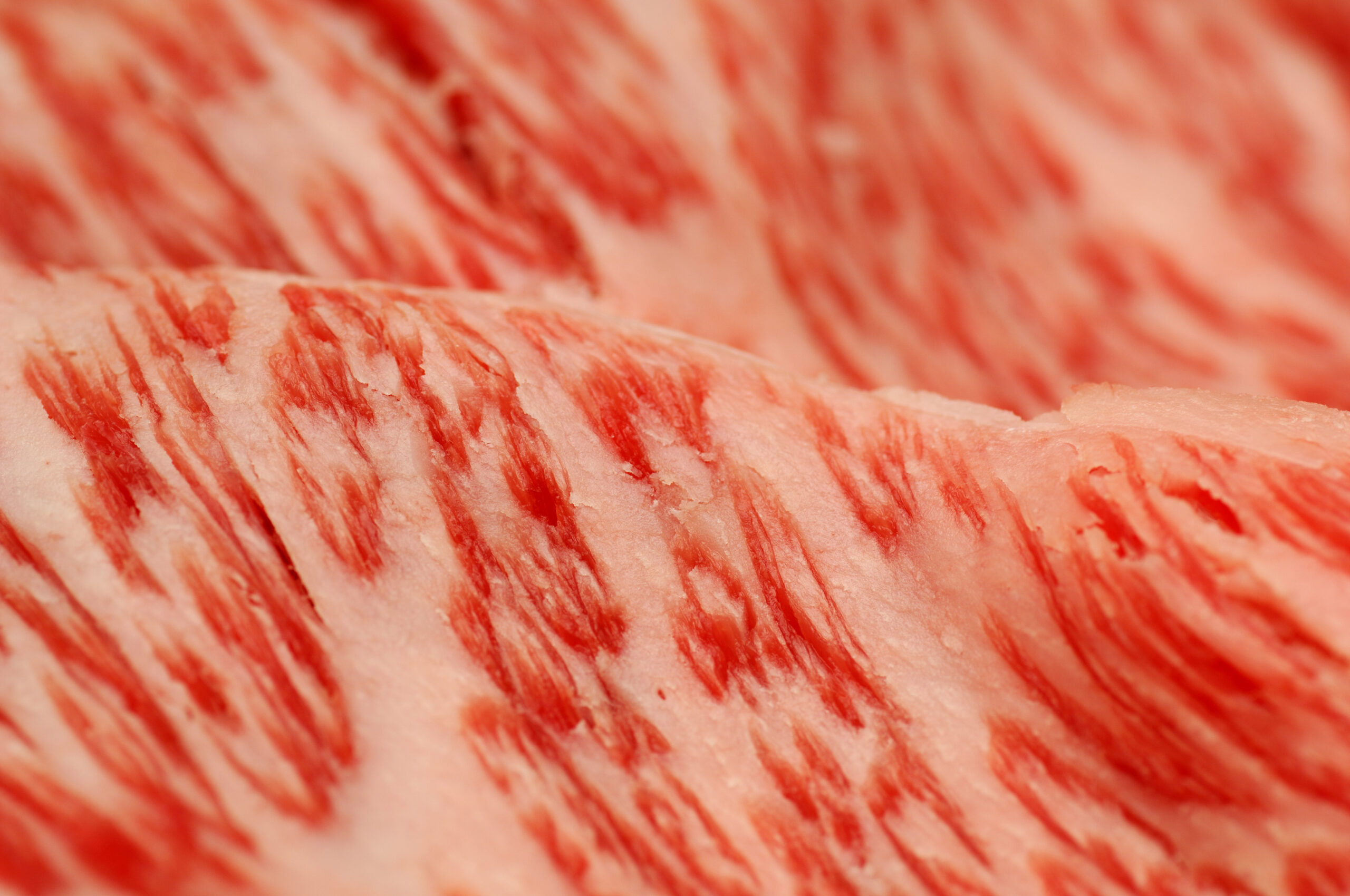 Closeup on original high quality Kobe beef. Shallow depth of field.