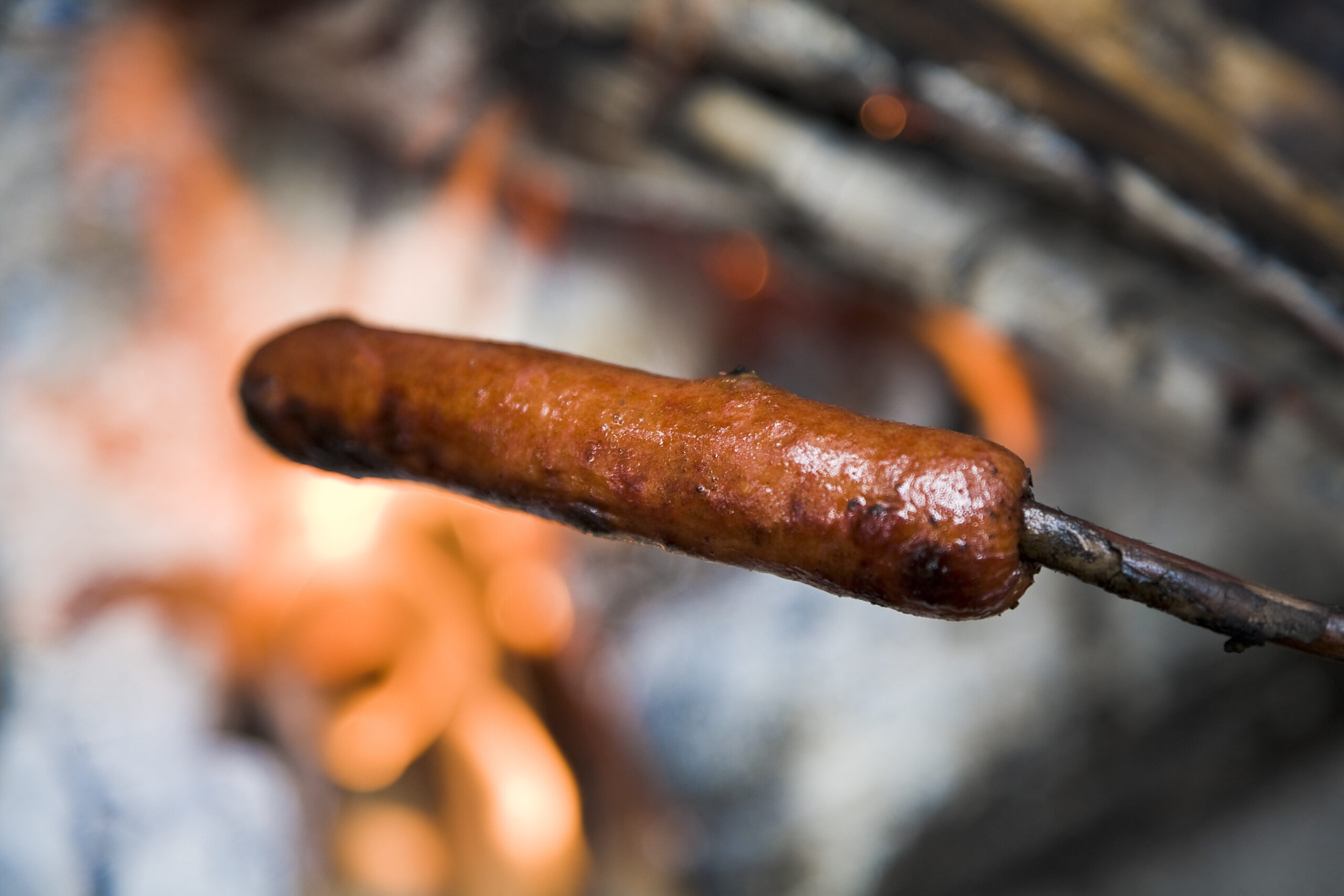 cooking hot dog on stick over campfire.