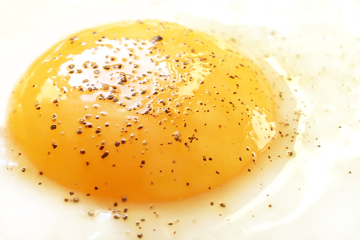 Fried egg close-up