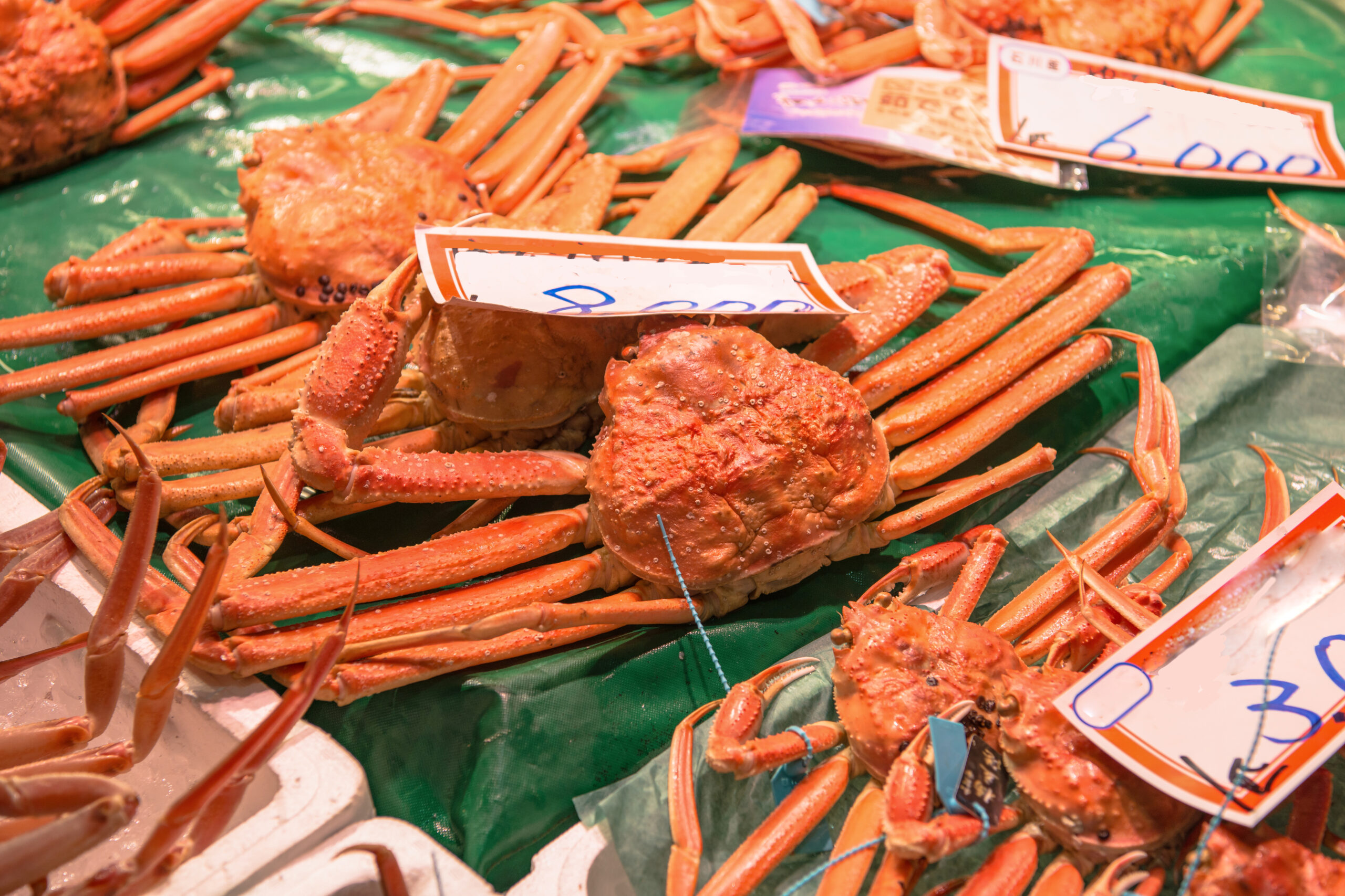 Scenery of the sea foods market in Japan