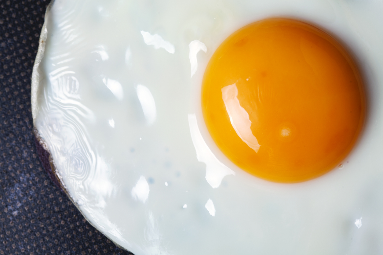 Fried egg in pan macro