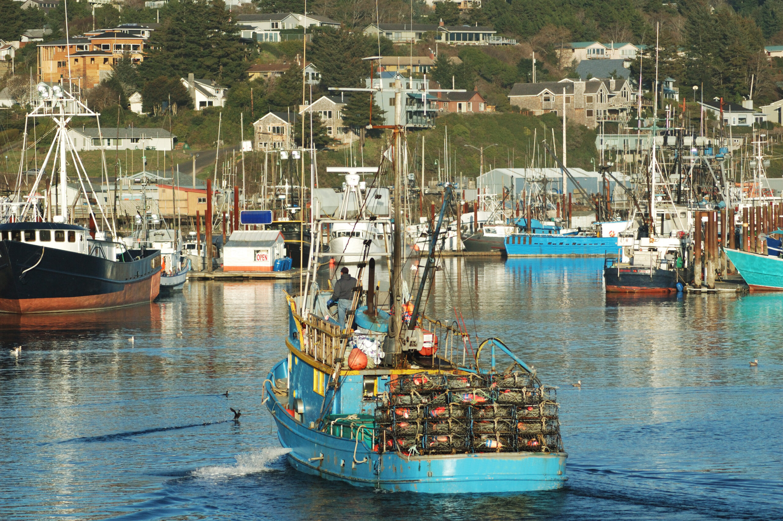 Commercial Crabbing Boats returning with catch into Yaquina Bay, Newport Oregon