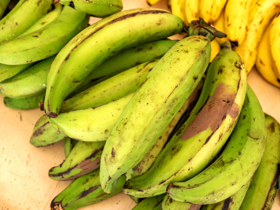 Plantain bananas or green banana.