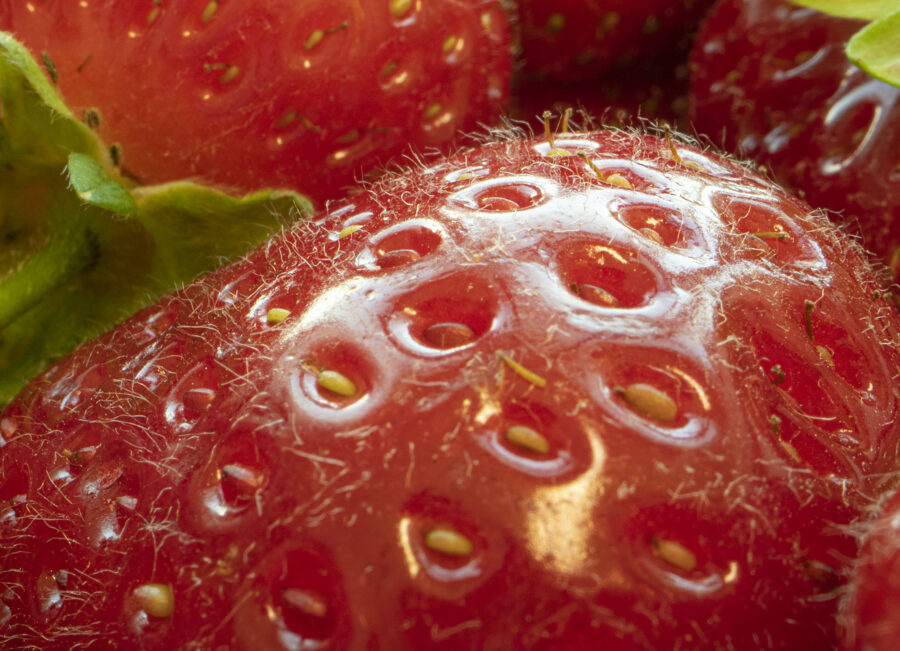 Strawberry close up