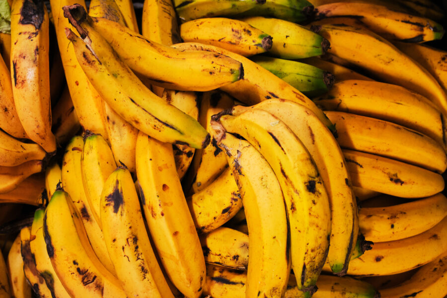 Top view of yellow ripe plantain bunch