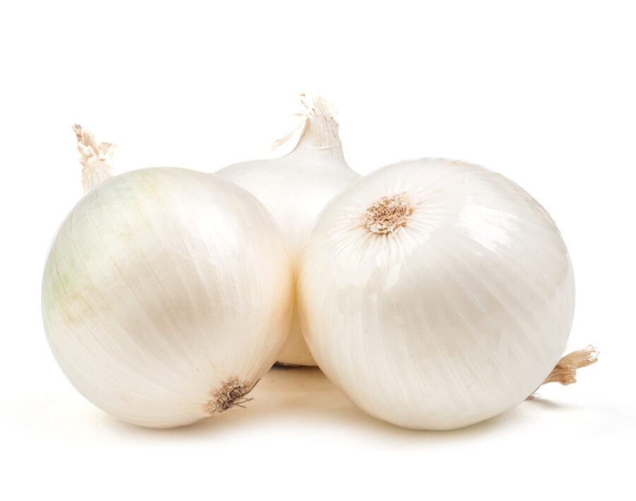 white onion isolated on white background