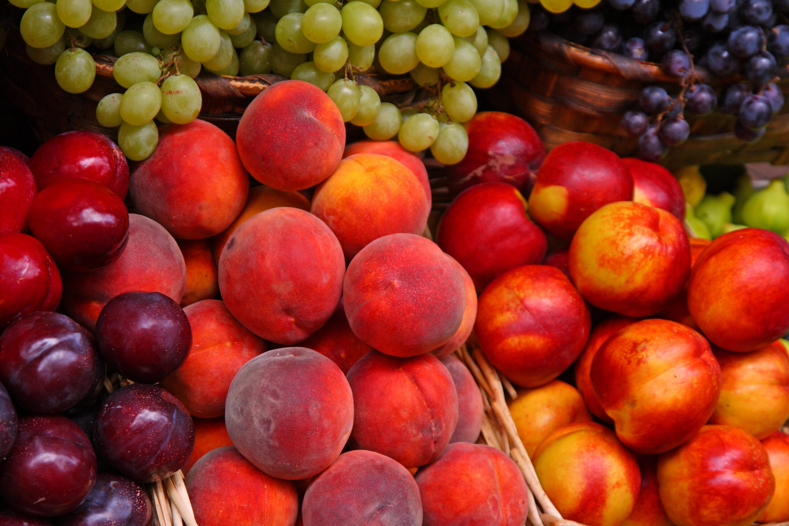 Nectarines, plums, peaches and green and red grapes at an Italian market stall.