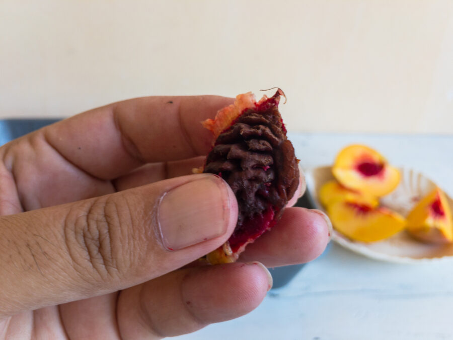 Peach fruit seed close up view