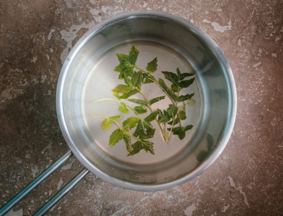 saucepan filled with water and mint leaves