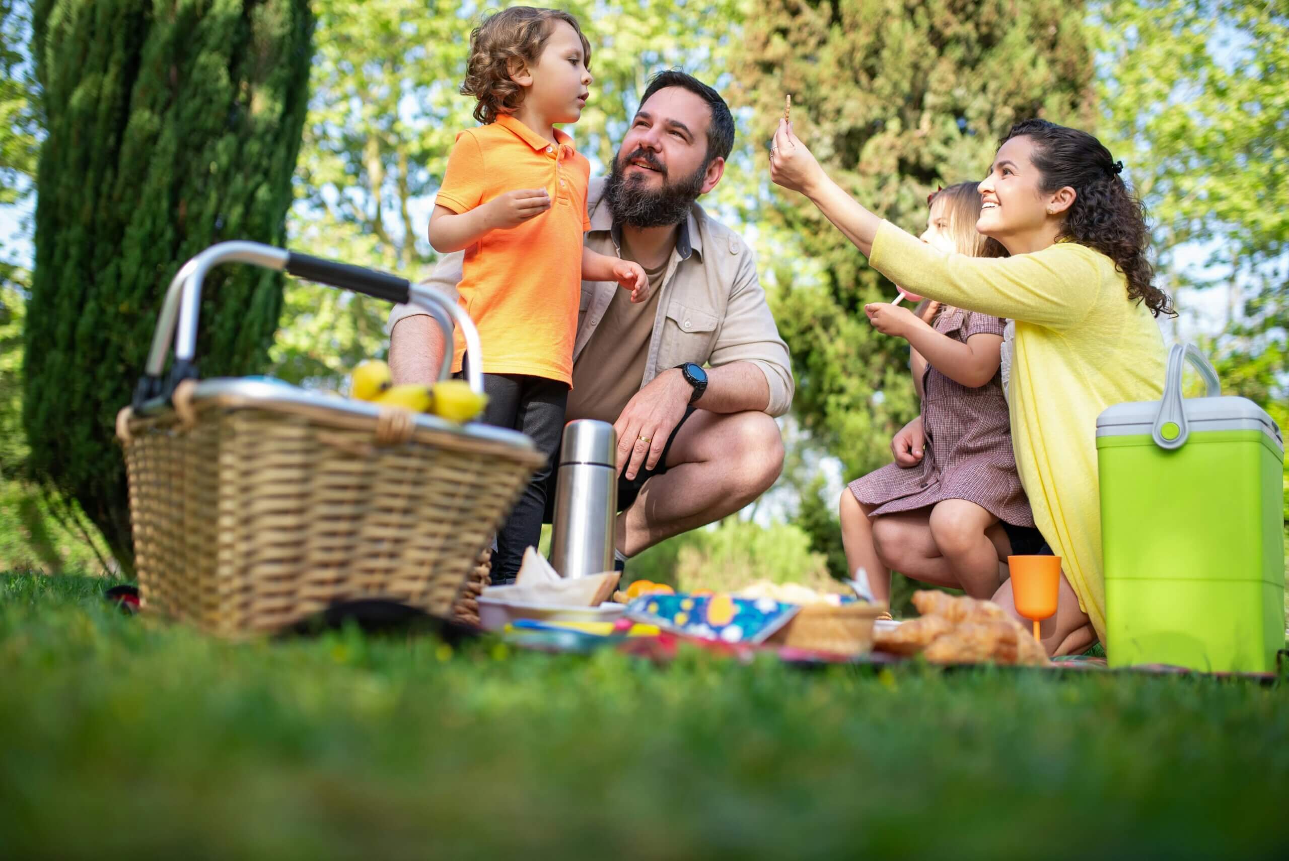 Family picnic