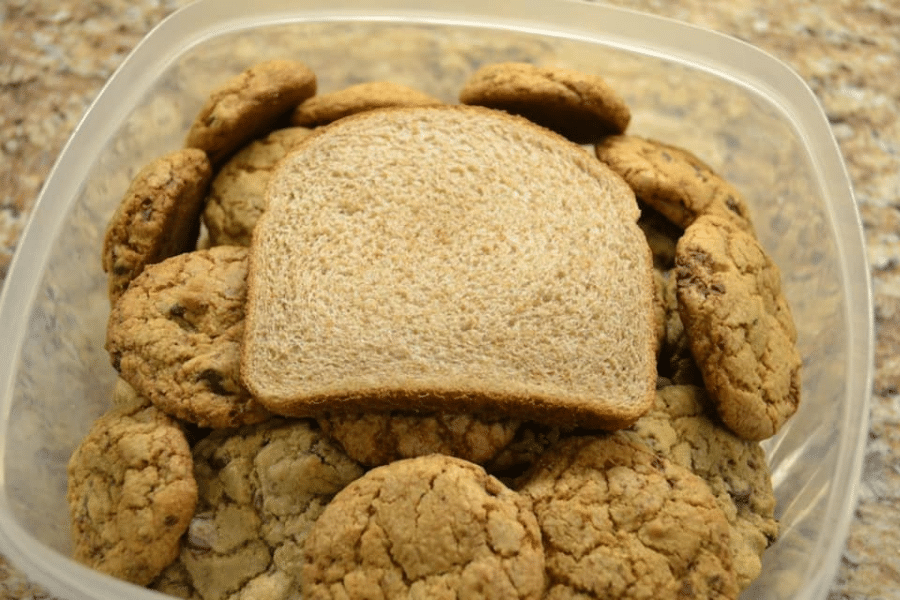 A slice of whole wheat bread placed on top of chocolate chip cookies inside a plastic container, a common trick used to keep cookies soft by absorbing excess air moisture.