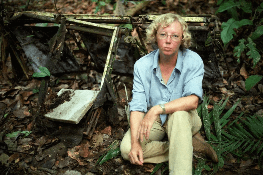 A woman with curly blonde hair, wearing glasses and a light blue shirt, sits on the forest floor beside rusty, decaying airplane seats partially buried in leaves. The jungle setting is dense with foliage and gives a somber tone to the image.