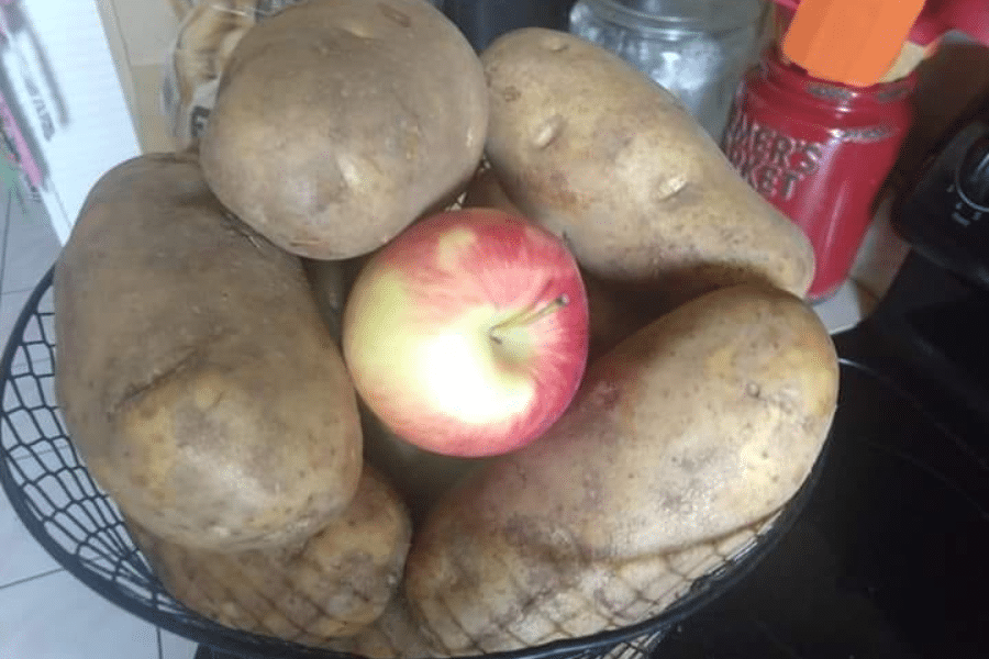 A wire basket filled with large, unwashed russet potatoes and a single red-and-yellow apple placed in the center. The basket sits on a kitchen counter near various jars and utensils.